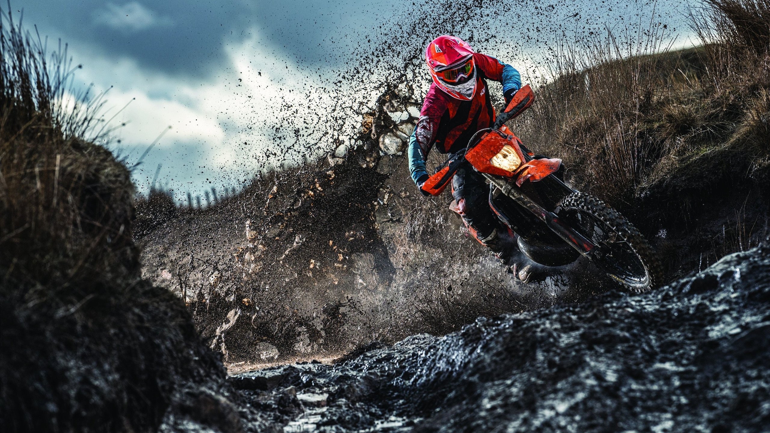 九游娱乐(jiuyou)官方网站-哥伦比亚马术协会与非洲马术协会开展技术援助项目，提升当地水平。